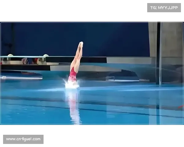 跳水动作编号与命名规则详解 帮助观众更好理解跳水比赛技巧与评分标准